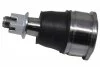 Опора кульова HONDA CR-V 01- (вир-во Японія) 555 SB6272 (фото 1)
