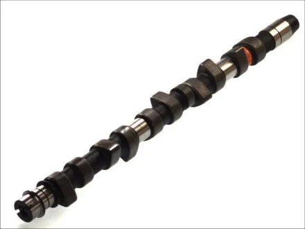 Вал распределительный VAG 2.5TDI AAT/ABP/AHD/1T/ABP/L/ACV/AGX/AHD/AHY/AJT/ANJ/APA/BBE/BBF, VOLVO D5252T AE CAM442