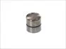 Гідрокомпенсатор VAG ACK/ADR/B/AGA/AGN/AGU/AJG/AJK/AJL/AJP/AJQ/ALF/ALT/ALW/AMB/AMK/AMK/AML/AMM/AMX/AP AE FOL133 (фото 2)
