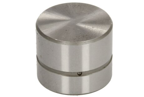 Гідрокомпенсатор RENAULT/VOLVO N7Q/B4164/B4184/B4204/B5204/B5234/B5254/B6254/B6304 -ua AE FOL156