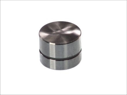 Гідрокомпенсатор VAG/VOLVO AAB/ABL/D24TIC AE FOL92