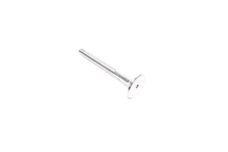 Клапан выпускной VAG 1,9 D / TD 31.2x8x95.5 (пр-во) AE V91334