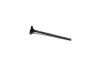 Клапан двигуна EX MITSUBISHI 4G18 25.5X5.5X114.7 -ua AE V95020 (фото 1)