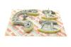 Комплект ланцюга ГРМ Audi A4/A6/A8/Q7/VW Touareg 2.7D/3.0D 03-11 (ланцюг + елементи) (симпле (opt-om) AIC 59115Set (фото 2)