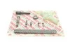 Комплект цепи ГРМ BMW 3 (E92/E93/F30)/5 (E61/F07)/X5 (E70/F15)/X6 (E71) 04-18 (N51/52/53/55) UA63 AIC 59131Set (фото 3)