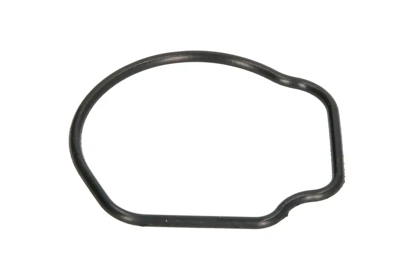 Прокладка термостату Fiat 500 (07-)/ Opel Combo (05-), Corsa C 1.3d Ajusa AJUSA 01096800 (фото 1)