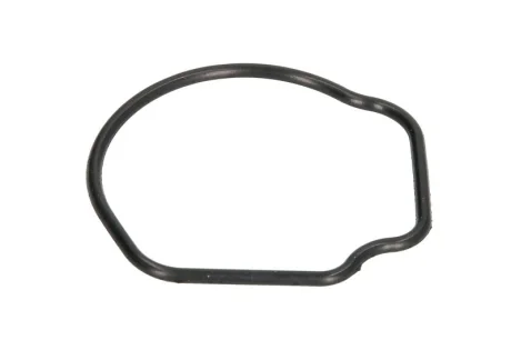 Прокладка термостату Fiat 500 (07-)/ Opel Combo (05-), Corsa C 1.3d Ajusa AJUSA 01096800