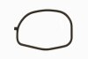 Кільце гумове AJUSA 01155300 (фото 1)