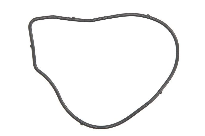 Прокладка водяного насосу CHEVROLET CAPTIVA (11-) 2.4i Ajusa AJUSA 01261900 (фото 1)