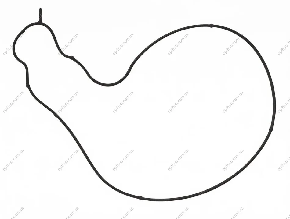 Прокладка двигуна гумова B.M.W. GASKET, WATER PUMP -ua AJUSA 01583100 (фото 1)