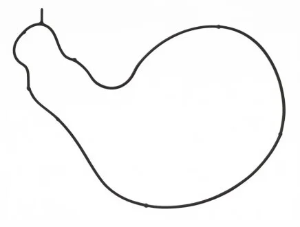 Прокладка двигуна гумова B.M.W. GASKET, WATER PUMP -ua AJUSA 01583100