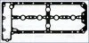 Прокладка клапанної кришки Citroen Jumper II/ Fiat Ducato (09-)/ Iveco Dailly (III,IV,V,VI) 3.0d Ajusa AJUSA 11116900 (фото 1)