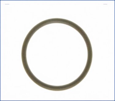 Кільце гумове AJUSA 16019000