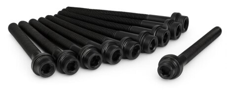 Комплект болтів з головкою системи TORX з чорного металу VAG BSE/BSF/AEG/AVU/AWH/AHL/AXA/AKL/BGU AJUSA 81019300