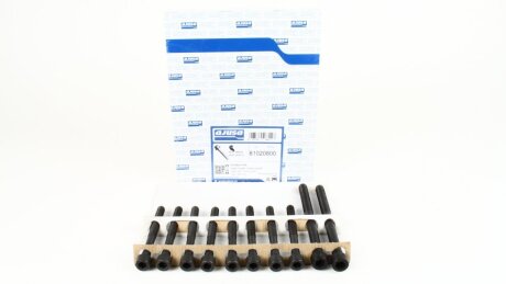 Комплект болтів з шестигранною головкою з чорного металу HYUNDAI 1.6/1.8/2.0 95- G4DM/G4DR/G4GB/G4GF/ -ua AJUSA 81020800