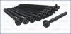 Компл. болтів ГБЦ RENAULT MEGANE I, II, III 1.4, 1.6i (10шт) Ajusa AJUSA 81024900 (фото 1)