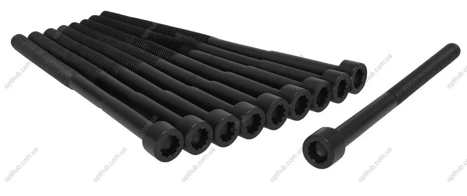 Комплект болтів з головкою системи TORX з чорного металу AJUSA 81026800 (фото 1)