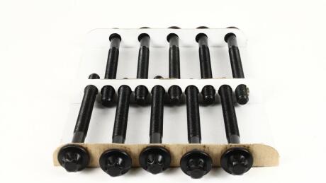 Компл. болтів ГБЦ RENAULT Master/Trafic 2.5dCi (00-) (10шт) AJUSA 81031600