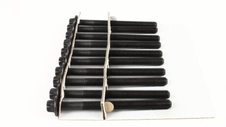 Комплект болтів з головкою системи TORX з чорного металу RENAULT KANGOO 1.5DCI K9K AJUSA 81031800