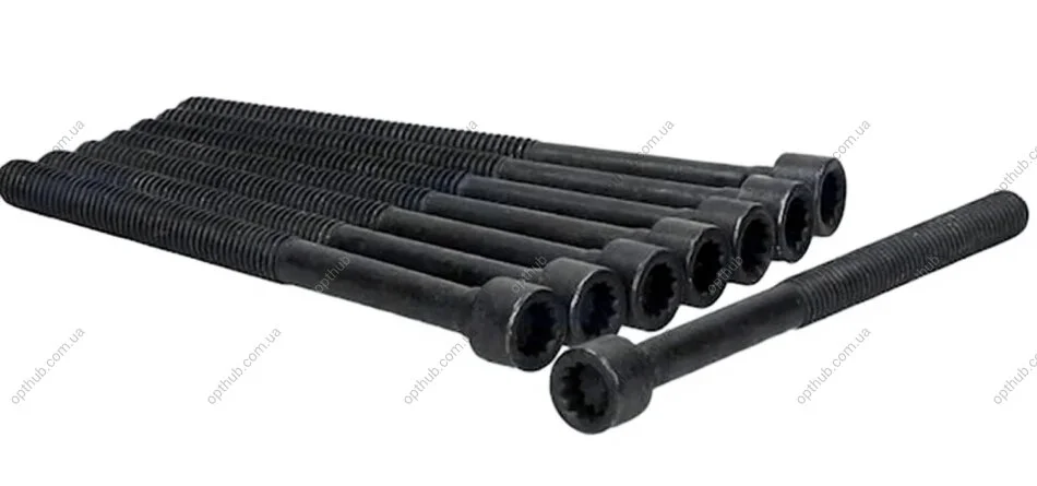 Комплект болтів з головкою системи TORX з чорного металу AJUSA 81040200 (фото 1)
