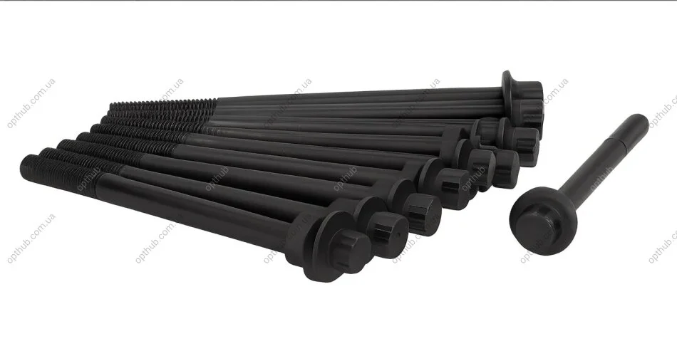 Комплект болтів з головкою системи TORX з чорного металу AJUSA 81045100 (фото 1)