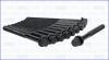 Компл. болтів ГБЦ HYUNDAI SANTA FE III, IV 2.0, 2.2d (10шт) AJUSA 81052900 (фото 2)