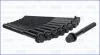 Компл. болтів ГБЦ HYUNDAI SANTA FE III, IV 2.0, 2.2d (10шт) Ajusa AJUSA 81052900 (фото 2)