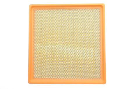 Фильтр воздушный RENAULT TRAFIC 2.5 DCI 03- (с сеткой) ALPHA FILTER AF1829s