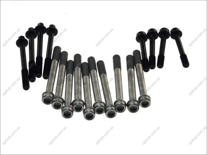Комплект болтів ГБЦ CHRYSLER VOYAGER III DODGE CARAVAN, RAM OPEL FRONTERA A SPORT ROVER 800 2.5D 01.90-10.02 AMC 258485 (фото 1)