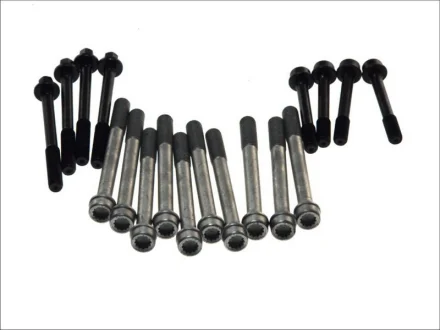 Комплект болтів ГБЦ CHRYSLER VOYAGER III DODGE CARAVAN, RAM OPEL FRONTERA A SPORT ROVER 800 2.5D 01.90-10.02 AMC 258485