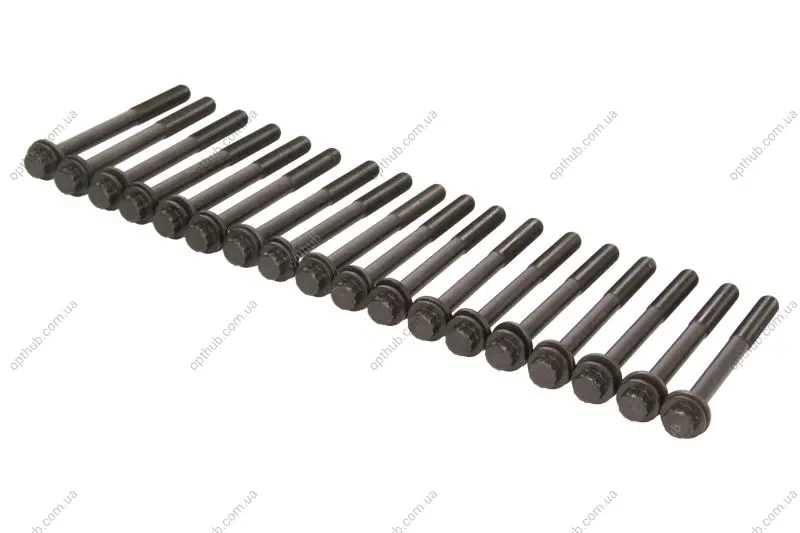 Комплект болтів ГБЦ NISSAN CABSTAR, INTERSTAR, TERRANO II OPEL MOVANO A, SIGNUM, VECTRA C, VECTRA C GTS RENAULT MASTER II, MASTER PRO 3.0D 05.02- AMC 258506 (фото 1)