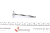 Клапан (впуск) Fiat Scudo/Peugeot Expert 1.4/1.6 89-00 (37.5x8x108.5) (вальцювання) UA63 AMP PFIA013-S-0-D (фото 3)