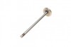 Клапан (випуск) Opel Astra F/G/Vectra A/B/Zafira A 1.4/1.6 95-05 (27.5x6x102.2) (азотований UA63 AMP POPE004-A-0-N (фото 4)