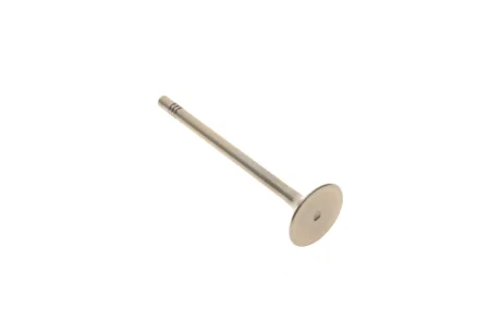 Впускний клапан AMP PVWG135-S-0-N