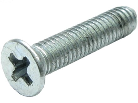 Болт з хрестовидним шліцом з чорного металу AS-PL ARS0024 (фото 1)