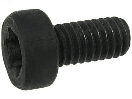 Болт з головкою системи TORX з чорного металу AS-PL SP3022S(BULK)