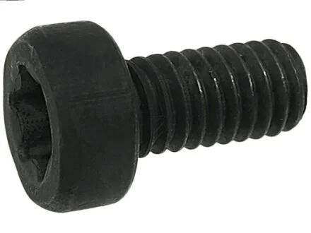 Болт з головкою системи TORX з чорного металу AS-PL SP3022S(BULK)