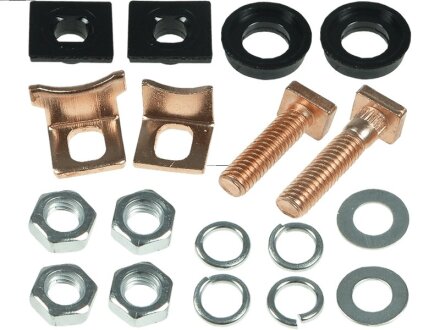 Ремкомплект стартера (деталі стартера, заглушки, шайби) КОНТАКТИ ВТЯГУЮЧОГО РЕЛЕ 133635 PL -ua AS-PL SP6006