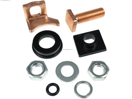 Контакт втягуючого реле (мідний гвинт) AS-PL SP6011 (фото 1)