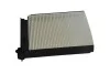 Фільтр салону Renault Clio, Megane, Scenic, Logan/Nissan Micra 1.2i, 1.4i, 1.5d, 1.6i Asam ASAM 30520 (фото 1)