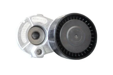 Ролик ременя генератора Renault Logan (04-), Megane (03-), Kangoo, Laguna, Sandero (08-), Duster (10-) 1,5 dCI с конд Asam ASAM 30686