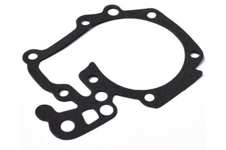 Прокладка водяного насоса Renault Logan (04-), Clio, Megane, Kangoo (97-),Sandero (08-) 1.4i/1.6i ASAM 32220