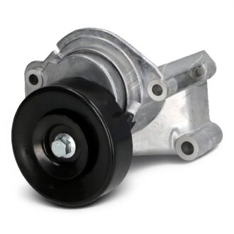 Роликовий модуль натягувача ременя ASHIKA 128-02-208