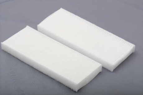 Фільтр салону NISSAN NAVARA (D40) 2.5 DCI, 2.5 DCI 4WD, NAVARA PIANALE PIATTO/TELAIO (D40) 2.5 DCI, -ua ASHIKA 21-NS-NS9