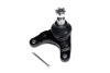 Опора кульова нижн. FORD RANGER 05-, MAZDA BT-50 06- C.I.U ASHIKA 73-03-328 (фото 1)