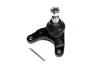 Опора кульова нижн. FORD RANGER 05-, MAZDA BT-50 06- (вир-во) C.I.U ASHIKA 73-03-328 (фото 1)