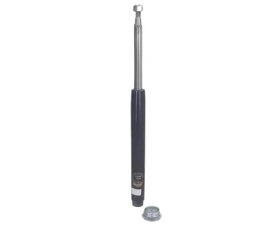 Амортизатор газомасляний ASHIKA MA-22040
