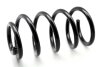 Пружины подвески ASHIKA ZCA6366C (фото 1)