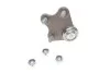Опора кульова (передня/знизу/R) VW Polo/Skoda Fabia 1.0-2.0 99- UA63 ASMETAL 10AU1201 (фото 2)