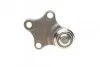 Опора кульова (передня/знизу) Citroen Berlingo/Peugeot Partner 96- (d=16mm) UA63 ASMETAL 10CT0100 (фото 3)